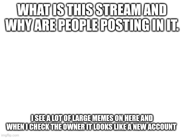 ??? | WHAT IS THIS STREAM AND WHY ARE PEOPLE POSTING IN IT. I SEE A LOT OF LARGE MEMES ON HERE AND WHEN I CHECK THE OWNER IT LOOKS LIKE A NEW ACCOUNT | image tagged in what is this | made w/ Imgflip meme maker