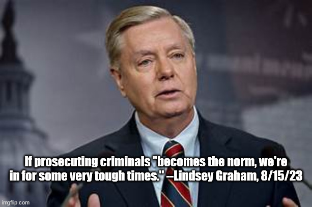 Ms Lindsey Graham on justice | If prosecuting criminals "becomes the norm, we're in for some very tough times." --Lindsey Graham, 8/15/23 | image tagged in lindsey graham | made w/ Imgflip meme maker