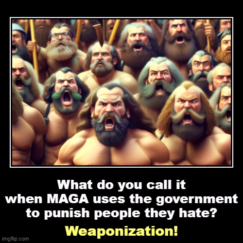 What do you call it when MAGA uses the government to punish people they hate? | Weaponization! | image tagged in funny,demotivationals,maga,government,hate,weaponization | made w/ Imgflip demotivational maker