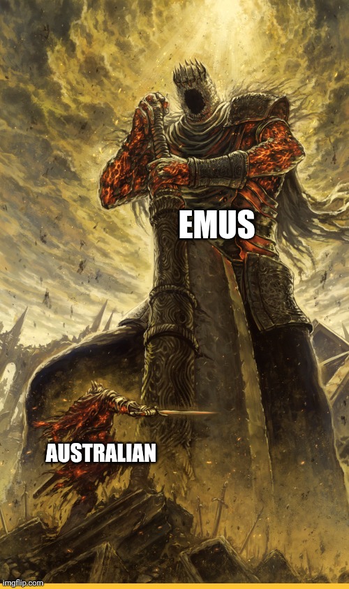 The emus will always defeat the Australians | EMUS; AUSTRALIAN | image tagged in fantasy painting | made w/ Imgflip meme maker