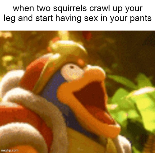 when two squirrels crawl up your leg and start having sex in your pants | image tagged in memes,funny,wtf,why did i make this | made w/ Imgflip meme maker