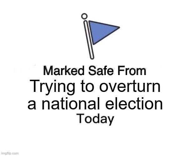 Marked Safe From Meme | Trying to overturn a national election | image tagged in memes,marked safe from | made w/ Imgflip meme maker