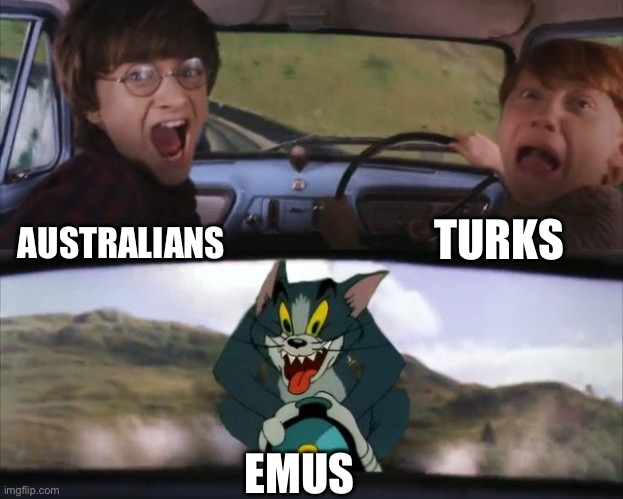 The ANZAAC spirit | AUSTRALIANS TURKS EMUS | image tagged in tom chasing harry and ron weasly,emu,wwi,emu war | made w/ Imgflip meme maker