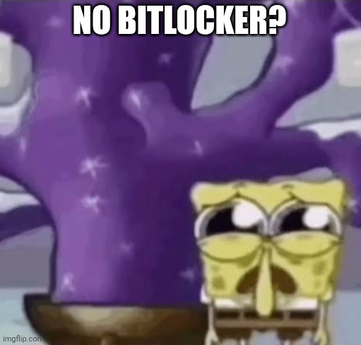 Zad Spunchbop | NO BITLOCKER? | image tagged in zad spunchbop | made w/ Imgflip meme maker