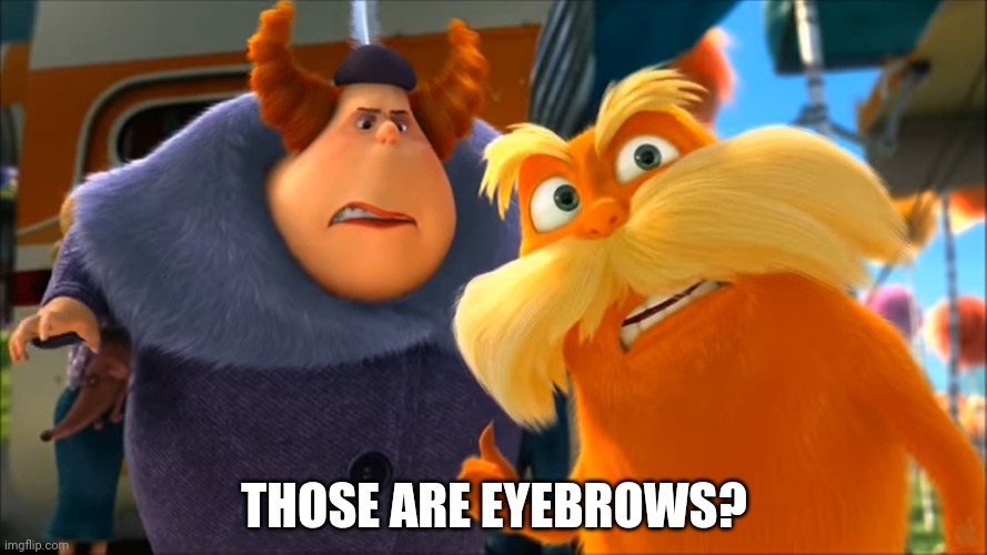 Lorax That's A Woman | THOSE ARE EYEBROWS? | image tagged in lorax that's a woman | made w/ Imgflip meme maker