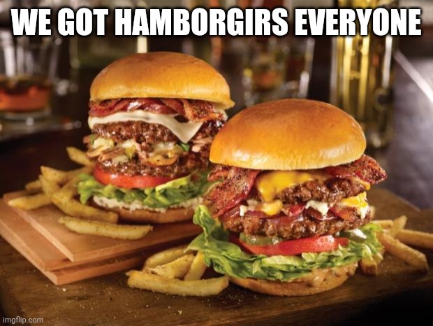WE GOT HAMBORGIRS EVERYONE | image tagged in food | made w/ Imgflip meme maker