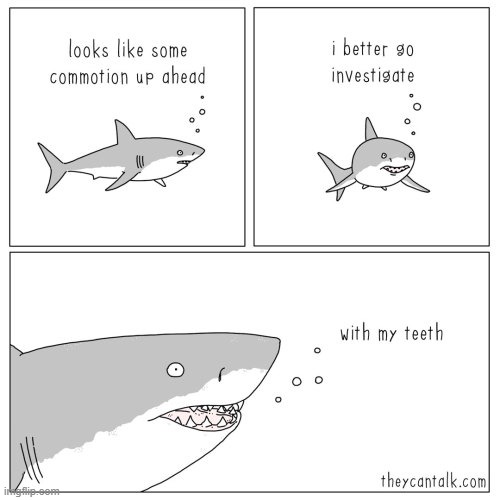 I'm loving the theycantalk comics. | image tagged in shark,kamehameha,hello | made w/ Imgflip meme maker