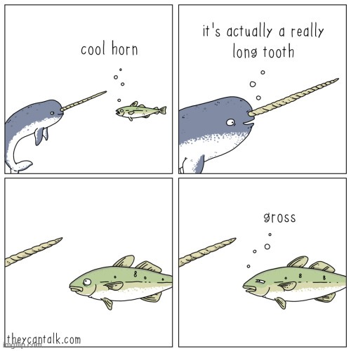 This one is a little relatable | image tagged in fish,you have been eternally cursed for reading the tags,cookie | made w/ Imgflip meme maker