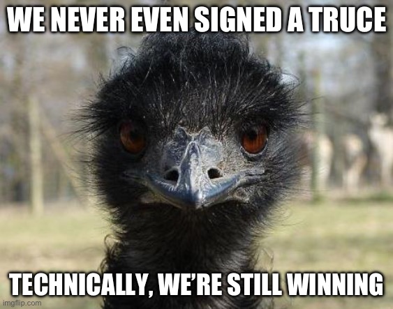 The Emu War | WE NEVER EVEN SIGNED A TRUCE; TECHNICALLY, WE’RE STILL WINNING | image tagged in bad news emu,emu,war | made w/ Imgflip meme maker