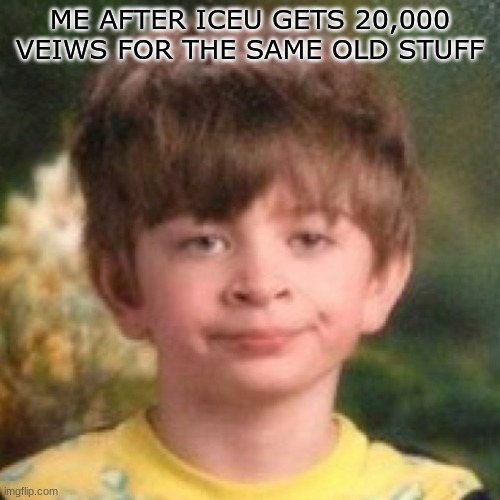 Its true | ME AFTER ICEU GETS 20,000 VEIWS FOR THE SAME OLD STUFF | image tagged in annoyed face | made w/ Imgflip meme maker