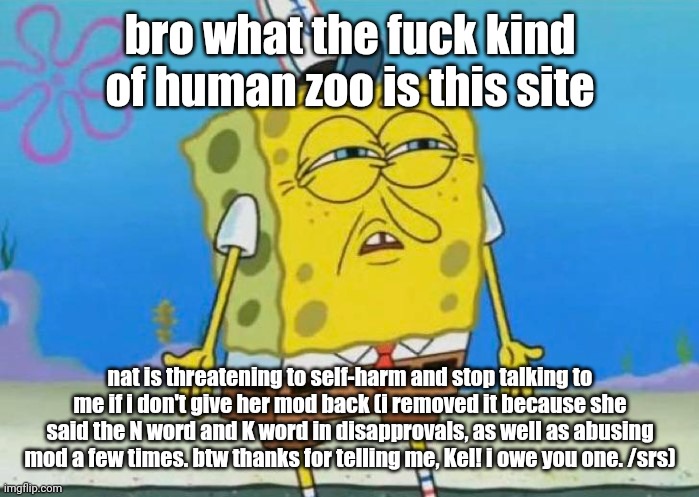 Spongebob Squint Shrug | bro what the fuck kind of human zoo is this site; nat is threatening to self-harm and stop talking to me if i don't give her mod back (i removed it because she said the N word and K word in disapprovals, as well as abusing mod a few times. btw thanks for telling me, Kel! i owe you one. /srs) | image tagged in spongebob squint shrug | made w/ Imgflip meme maker