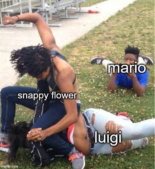 Guy recording a fight | mario; snappy flower; luigi | image tagged in guy recording a fight,mario,luigi | made w/ Imgflip meme maker