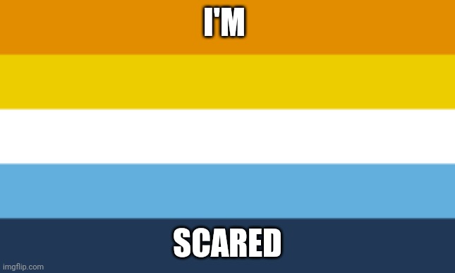 AroAce Flag | I'M SCARED | image tagged in aroace flag | made w/ Imgflip meme maker