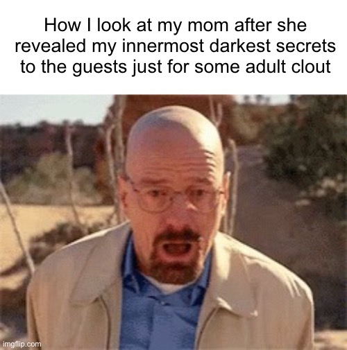 Waltuh Secress | How I look at my mom after she revealed my innermost darkest secrets to the guests just for some adult clout | image tagged in blank white template,walter white,fresh memes,funny,memes | made w/ Imgflip meme maker