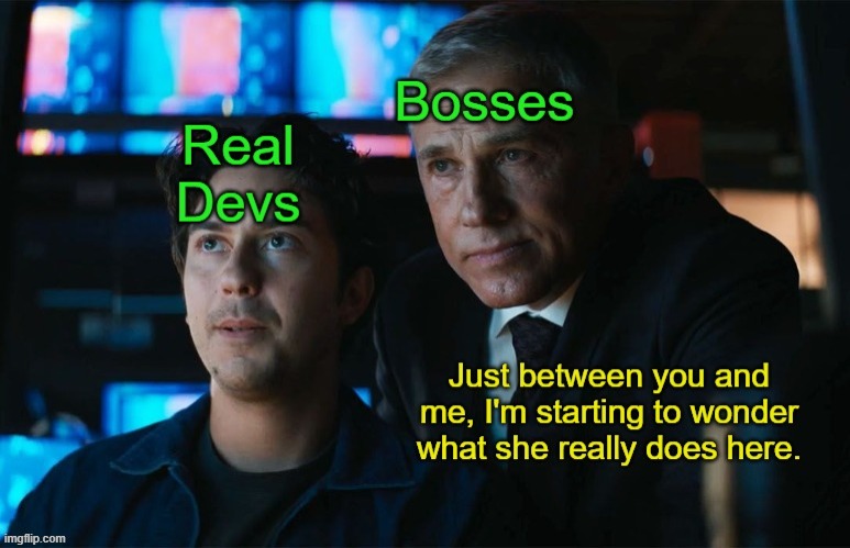 When the personnel was just hired for diversity and ESG score | image tagged in esg,dei,diablo,blodiab,baldurs gate,diversity hire | made w/ Imgflip meme maker