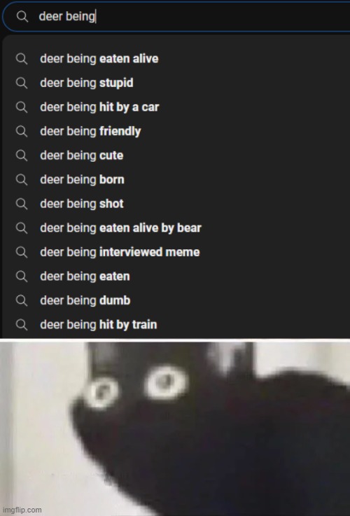 what the hell is wrong with people on youtube?? | image tagged in oh no black cat | made w/ Imgflip meme maker