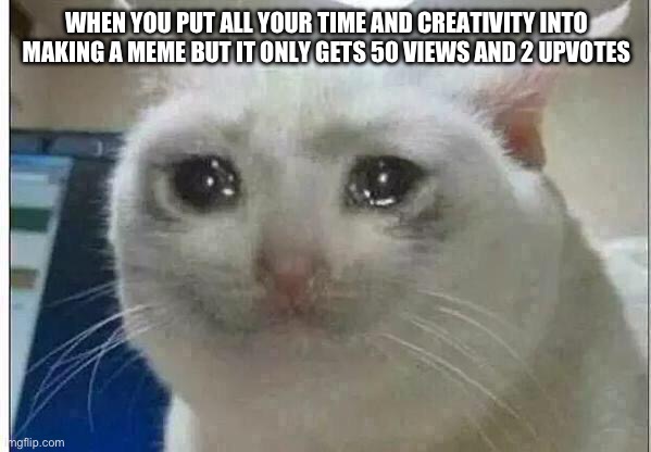 Crying cat | WHEN YOU PUT ALL YOUR TIME AND CREATIVITY INTO MAKING A MEME BUT IT ONLY GETS 50 VIEWS AND 2 UPVOTES | image tagged in crying cat,memes | made w/ Imgflip meme maker