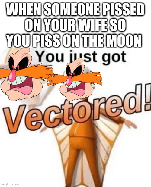 Eggman's announcement in a nutshell | WHEN SOMEONE PISSED ON YOUR WIFE SO YOU PISS ON THE MOON | image tagged in you just got vectored | made w/ Imgflip meme maker
