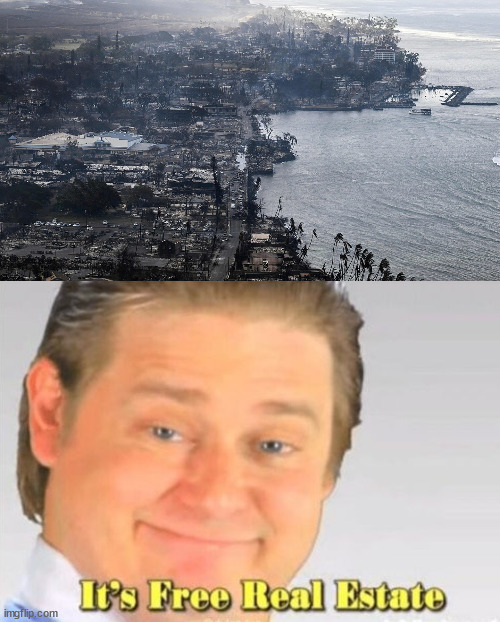 Maui situation is sus | image tagged in it's free real estate,maui fires,banks seizing assets,convient,never let a disaster go to waste | made w/ Imgflip meme maker