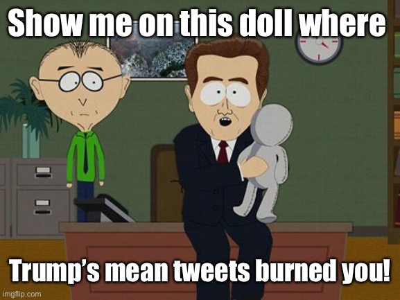 Show me on this doll | Show me on this doll where Trump’s mean tweets burned you! | image tagged in show me on this doll | made w/ Imgflip meme maker