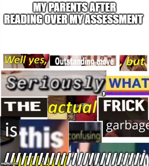 I thinks its good (ignore the bottom lines) | MY PARENTS AFTER READING OVER MY ASSESSMENT; ///////////////////////// | image tagged in well yes outstanding move but seriously | made w/ Imgflip meme maker