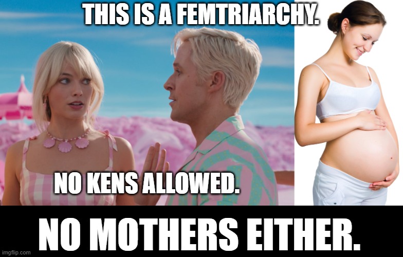 The new Barbie is a femtriarchy, it hates motherhood and mothers. | THIS IS A FEMTRIARCHY. NO KENS ALLOWED. NO MOTHERS EITHER. | image tagged in memes,funny,femtriarchy,barbie,ken,motherhood | made w/ Imgflip meme maker
