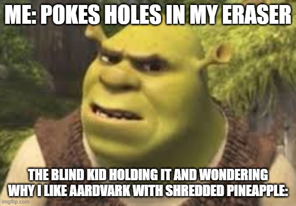 erasers | ME: POKES HOLES IN MY ERASER; THE BLIND KID HOLDING IT AND WONDERING WHY I LIKE AARDVARK WITH SHREDDED PINEAPPLE: | image tagged in confused shrek | made w/ Imgflip meme maker