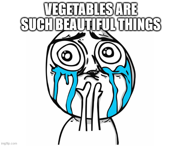 Crying Becauise It's So Beautiful | VEGETABLES ARE SUCH BEAUTIFUL THINGS | image tagged in crying becauise it's so beautiful | made w/ Imgflip meme maker