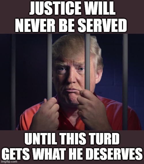 Trump up a shit creek - shitstorm | JUSTICE WILL NEVER BE SERVED; UNTIL THIS TURD GETS WHAT HE DESERVES | image tagged in trump in jail,rino,maga,shitstorm,hillary jail,lock him up | made w/ Imgflip meme maker