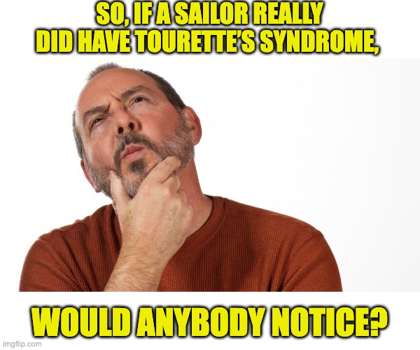 Hmm | SO, IF A SAILOR REALLY DID HAVE TOURETTE’S SYNDROME, WOULD ANYBODY NOTICE? | image tagged in hmmm | made w/ Imgflip meme maker