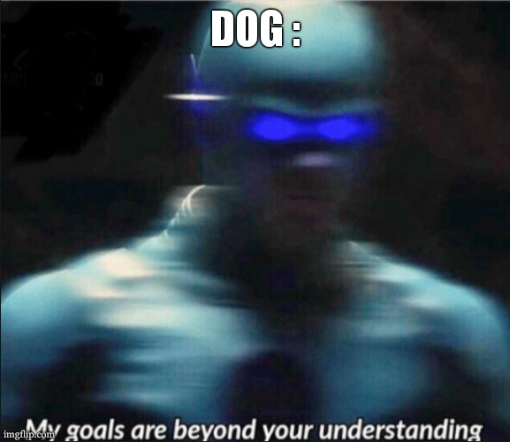my goals are beyond your understanding | DOG : | image tagged in my goals are beyond your understanding | made w/ Imgflip meme maker
