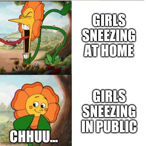 I've seen my sister do it | GIRLS SNEEZING AT HOME; GIRLS SNEEZING IN PUBLIC; CHHUU... | image tagged in cuphead flower | made w/ Imgflip meme maker