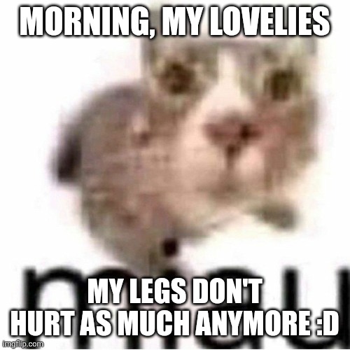 Uhhhh | MORNING, MY LOVELIES; MY LEGS DON'T HURT AS MUCH ANYMORE :D | image tagged in miau,lovelies | made w/ Imgflip meme maker