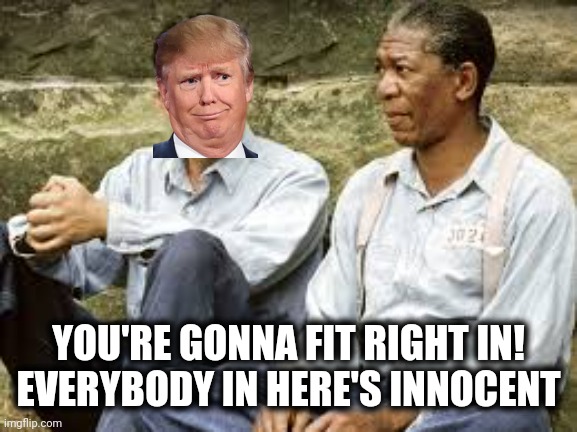 Former President Shawshank | YOU'RE GONNA FIT RIGHT IN!
EVERYBODY IN HERE'S INNOCENT | image tagged in lock him up,scumbag trump,lock trump up,trump for prison 2024,shawshank,memes | made w/ Imgflip meme maker