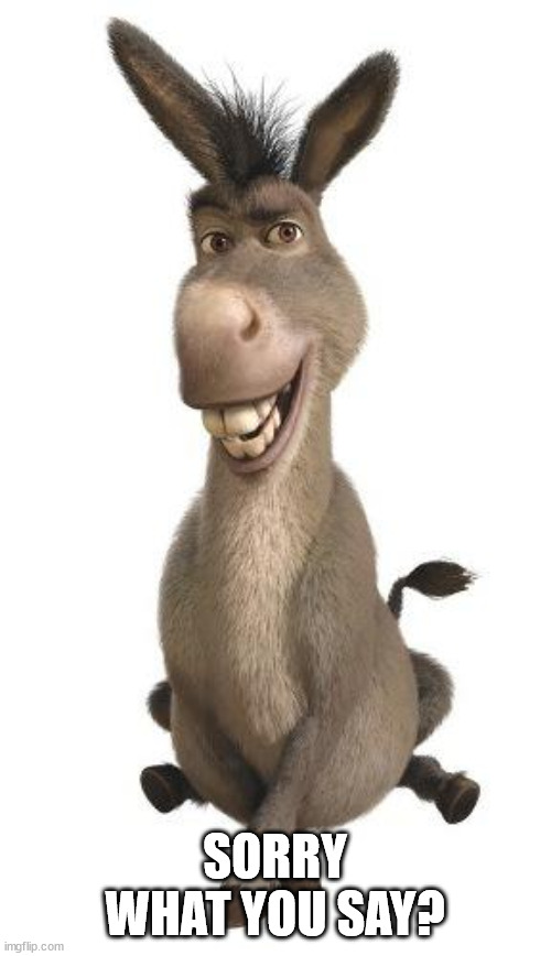 Donkey from Shrek | SORRY WHAT YOU SAY? | image tagged in donkey from shrek | made w/ Imgflip meme maker