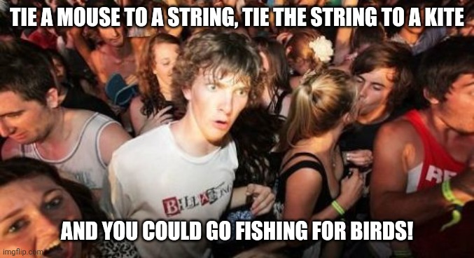 Screw you, duck hunt dog! | TIE A MOUSE TO A STRING, TIE THE STRING TO A KITE; AND YOU COULD GO FISHING FOR BIRDS! | image tagged in memes,sudden clarity clarence,fun | made w/ Imgflip meme maker