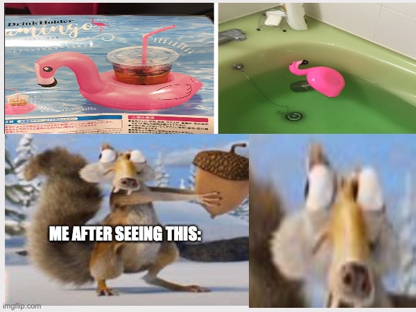 did I just get ripped off? | ME AFTER SEEING THIS: | image tagged in scrat,design fails,flamingo | made w/ Imgflip meme maker