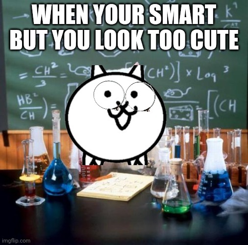 Chemistry Cat | WHEN YOUR SMART BUT YOU LOOK TOO CUTE | image tagged in memes,chemistry cat | made w/ Imgflip meme maker