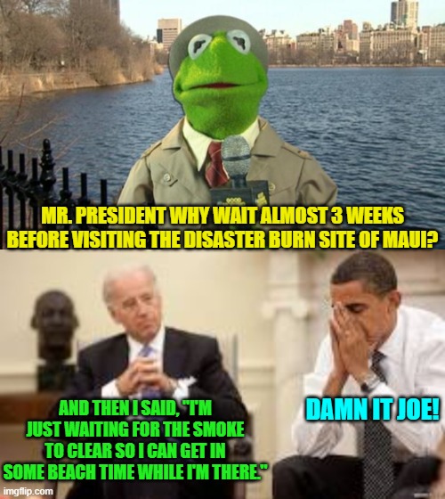 The truth is that Joe doesn't want being president to interfere with his vacation time. | MR. PRESIDENT WHY WAIT ALMOST 3 WEEKS BEFORE VISITING THE DISASTER BURN SITE OF MAUI? AND THEN I SAID, "I'M JUST WAITING FOR THE SMOKE TO CLEAR SO I CAN GET IN SOME BEACH TIME WHILE I'M THERE."; DAMN IT JOE! | image tagged in kermit news report | made w/ Imgflip meme maker