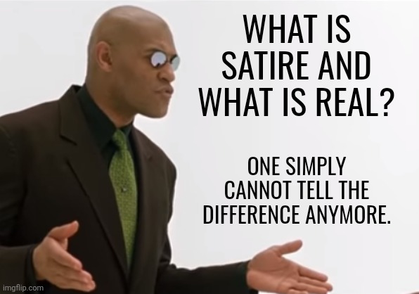 Hard to tell the difference anymore. | WHAT IS SATIRE AND WHAT IS REAL? ONE SIMPLY CANNOT TELL THE DIFFERENCE ANYMORE. | image tagged in memes | made w/ Imgflip meme maker