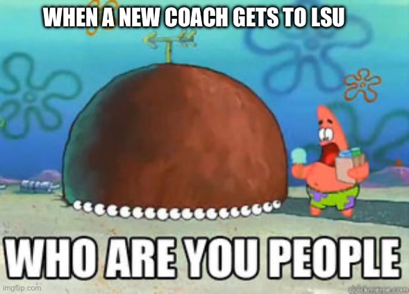SEC slander part 7 | WHEN A NEW COACH GETS TO LSU | image tagged in who are you people,lsu,college football,slander | made w/ Imgflip meme maker