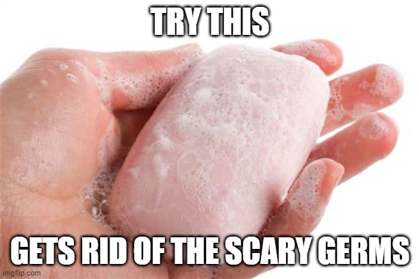Soap | TRY THIS GETS RID OF THE SCARY GERMS | image tagged in soap | made w/ Imgflip meme maker