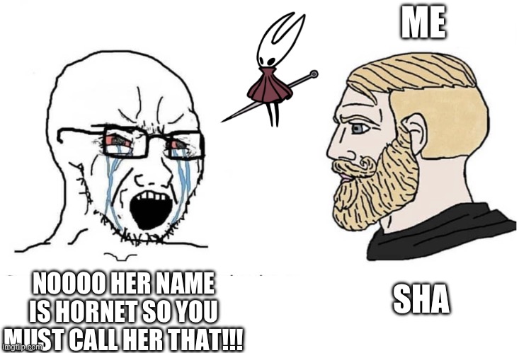 Soyboy Vs Yes Chad | ME; NOOOO HER NAME IS HORNET SO YOU MUST CALL HER THAT!!! SHA | image tagged in soyboy vs yes chad | made w/ Imgflip meme maker