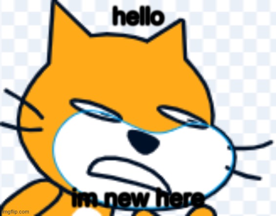 hi (hi - Mod) | hello; im new here | image tagged in scratch cat | made w/ Imgflip meme maker