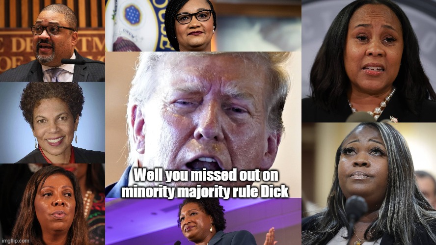 Well you missed out on minority majority rule Dick | made w/ Imgflip meme maker
