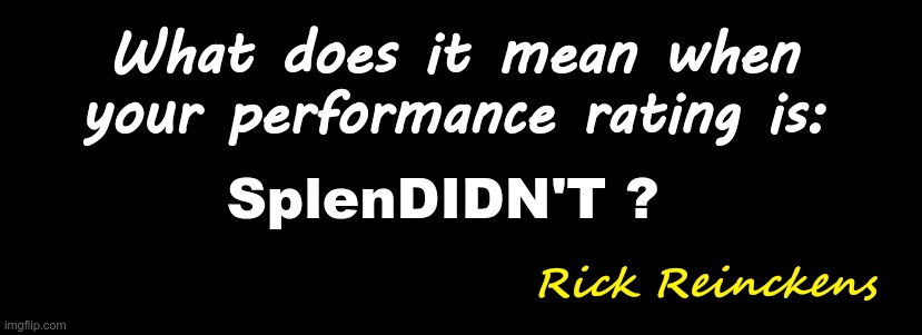 Performance Rating | What does it mean when
your performance rating is:; SplenDIDN'T ? Rick Reinckens | image tagged in performance,ratings,rick75230 | made w/ Imgflip meme maker