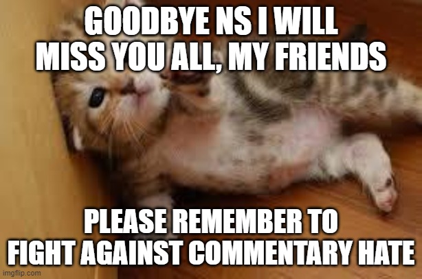 Goodbye NS :( | GOODBYE NS I WILL MISS YOU ALL, MY FRIENDS; PLEASE REMEMBER TO FIGHT AGAINST COMMENTARY HATE | image tagged in sad kitten goodbye | made w/ Imgflip meme maker