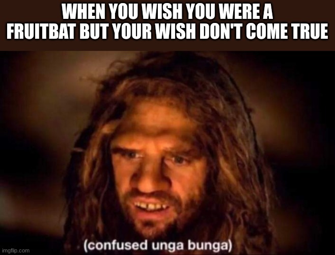 so true | WHEN YOU WISH YOU WERE A FRUITBAT BUT YOUR WISH DON'T COME TRUE | image tagged in confused unga bunga,so true memes,so true,bluey,animals,animal | made w/ Imgflip meme maker