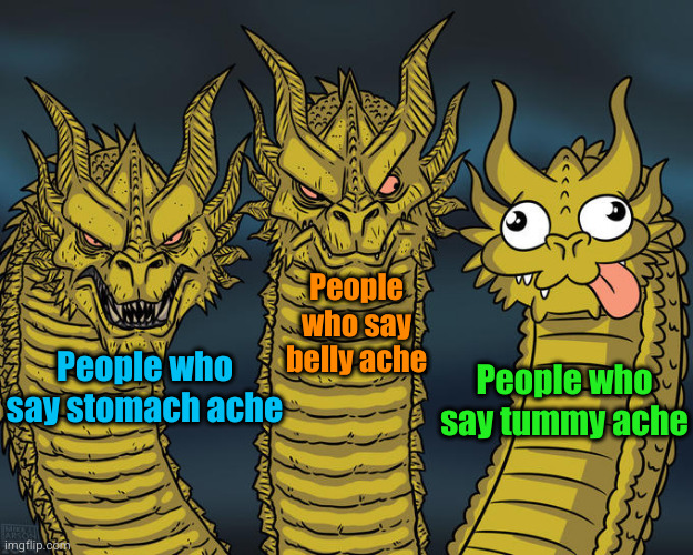 Meme #3,251 | People who say belly ache; People who say stomach ache; People who say tummy ache | image tagged in three-headed dragon,memes,stomach ache,tummy,belly,words | made w/ Imgflip meme maker