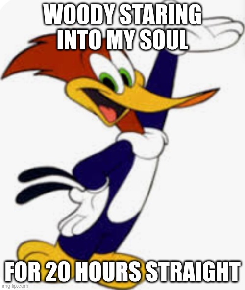 I'm scared | WOODY STARING INTO MY SOUL; FOR 20 HOURS STRAIGHT | image tagged in woody woodpecker | made w/ Imgflip meme maker